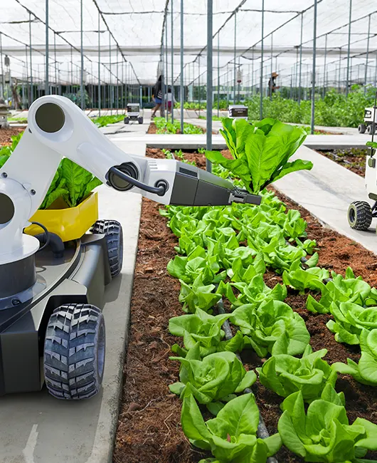 Wichtige Innovationen verändern die moderne Landwirtschaft
